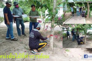 1 ก.ค.63 ปรับพื้นที่เปลี่ยนโฉม”สวนสาธารณะหนองแก้ช้าง”